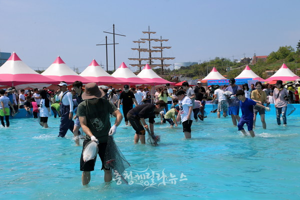 제17회 서천 자연산 광어 도미 축제가 내달 13일부터 28일까지 16일간 서천군 서면 마량진항 일원에서 개최된다.