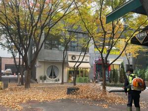 [포토] 낙엽으로 뒤덥힌 도심 거리